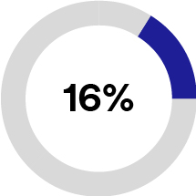 piechart_AIP16%.jpg